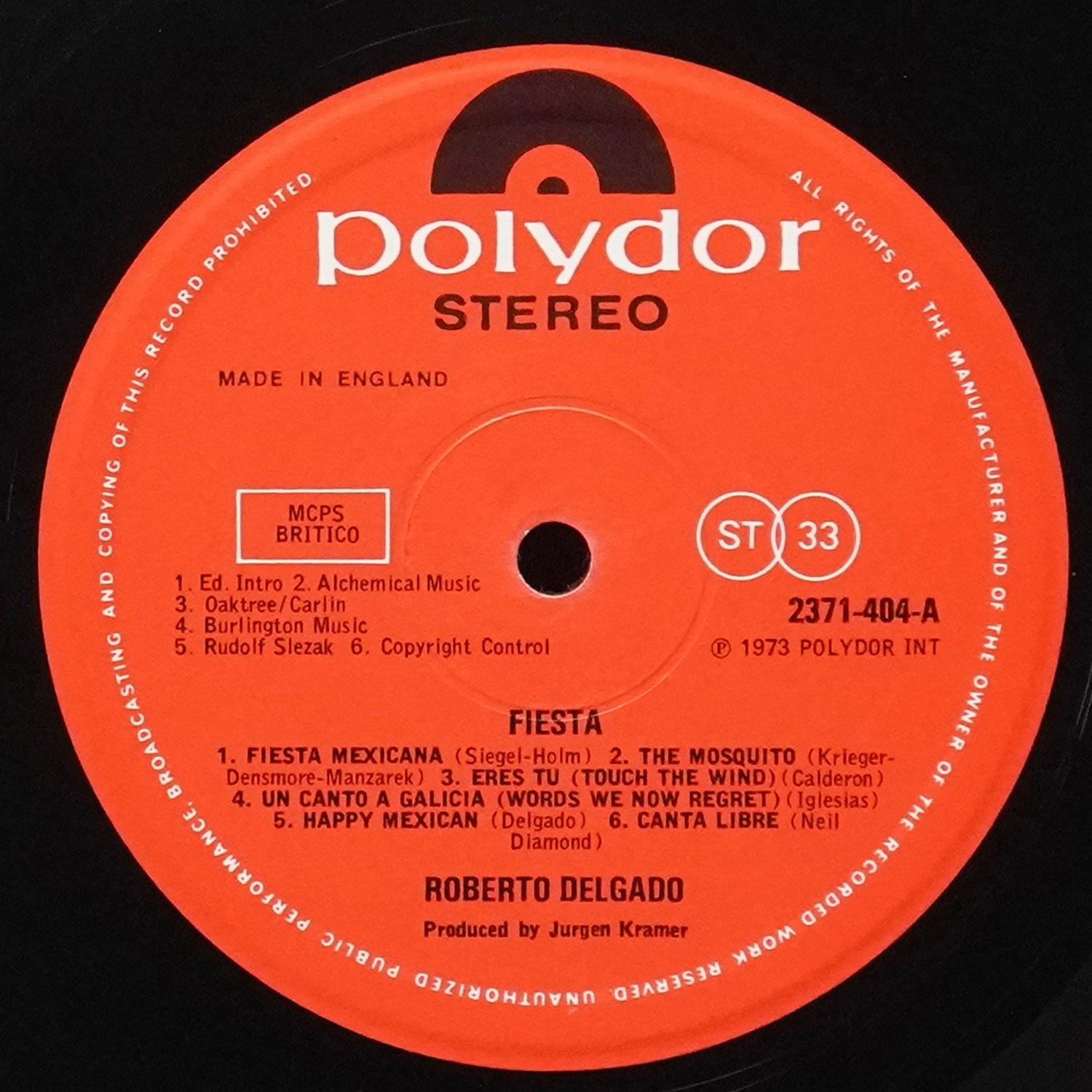 LP Roberto Delgado — Fiesta фото 2