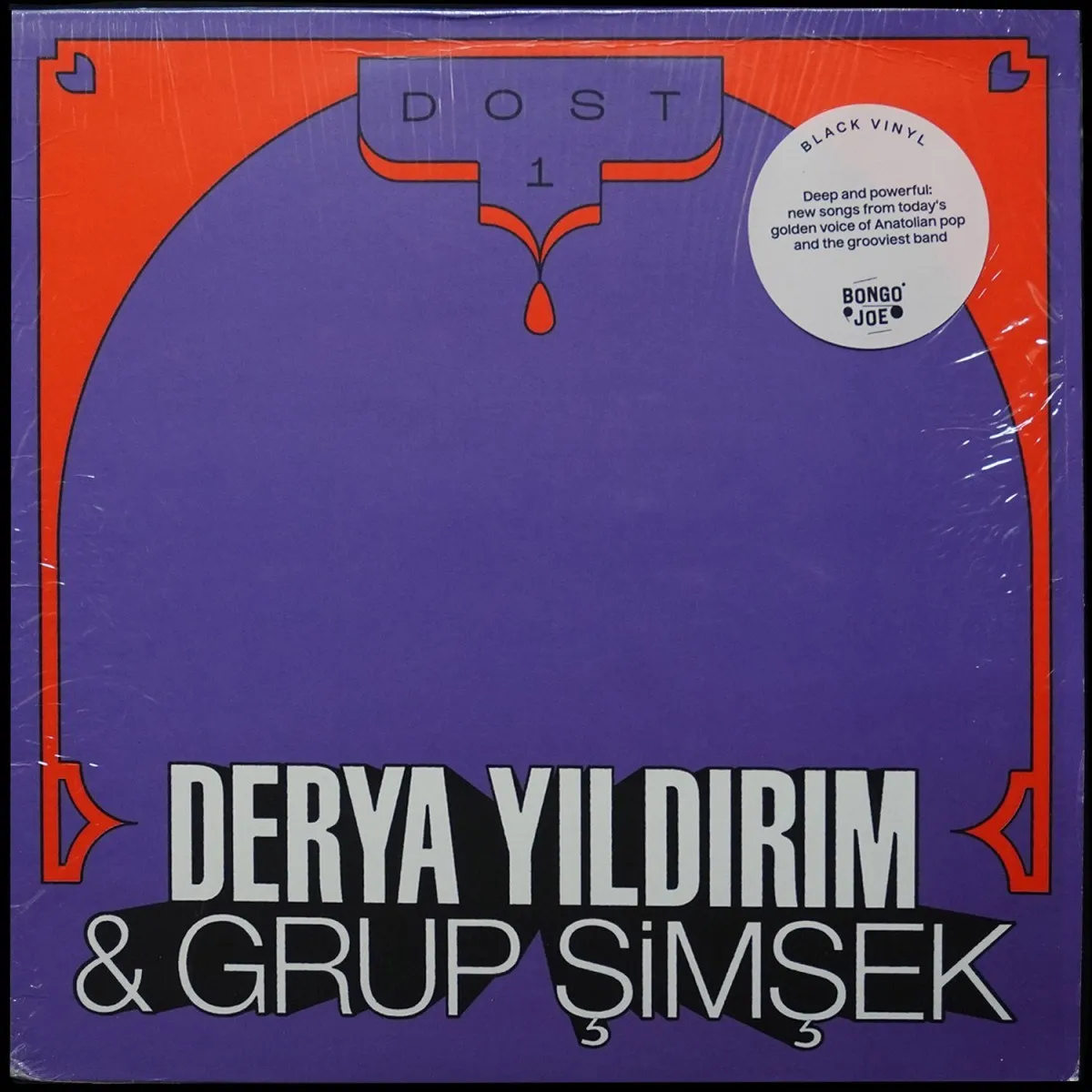 LP Derya Yildirim — Dost 1 фото
