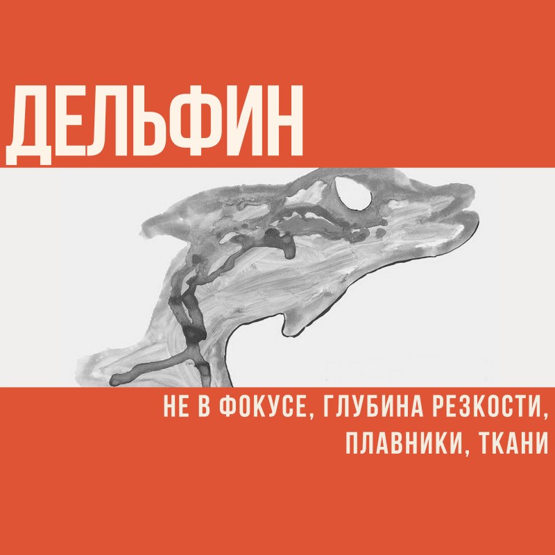 Исповедь, которую приятно разделить