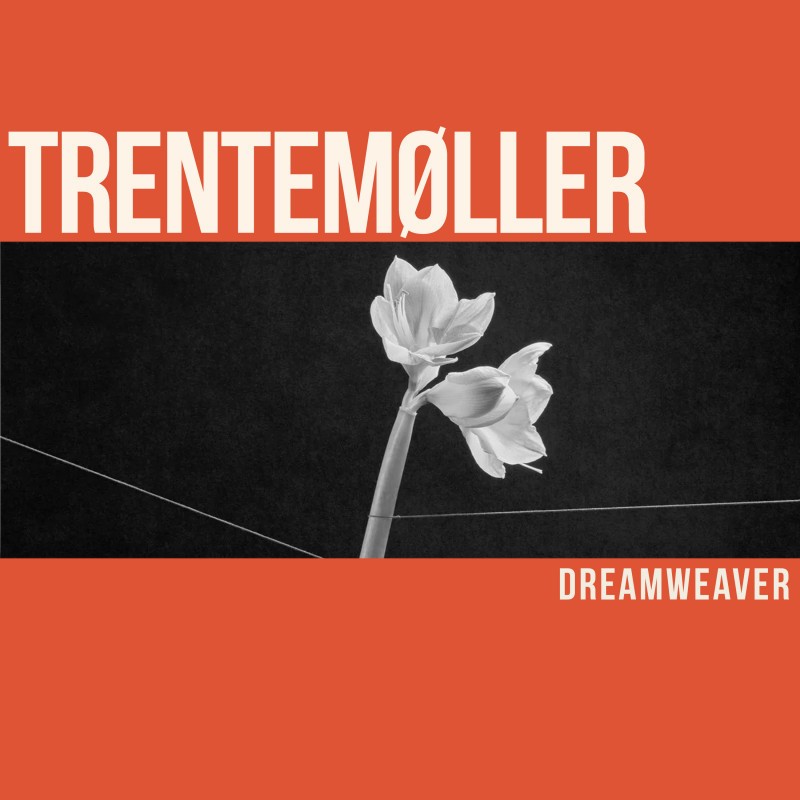 Погружение в ночной океан звука