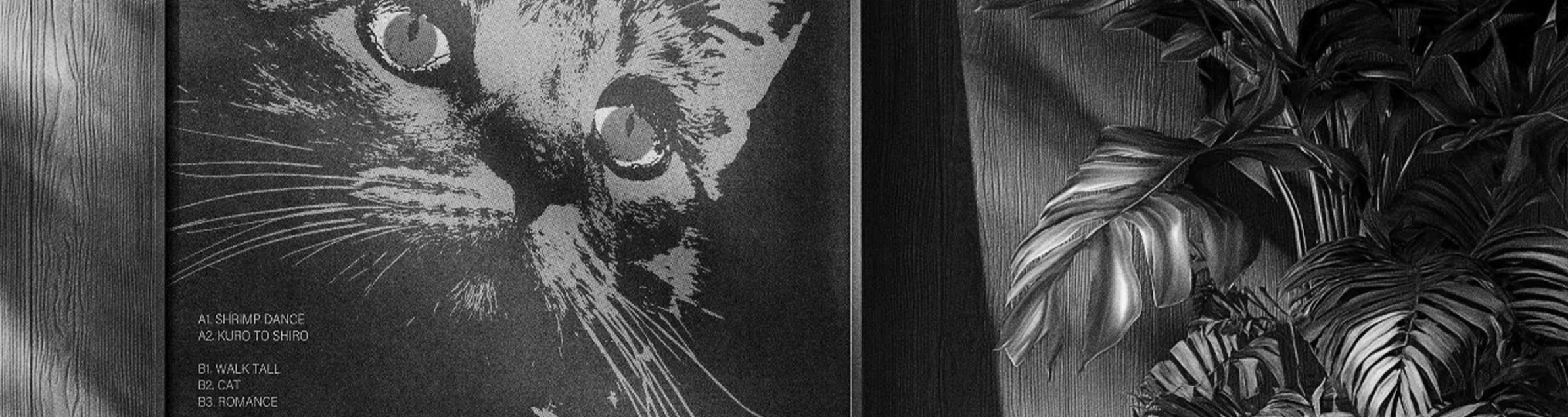 Образцовая джаз-фьюжн пластинка