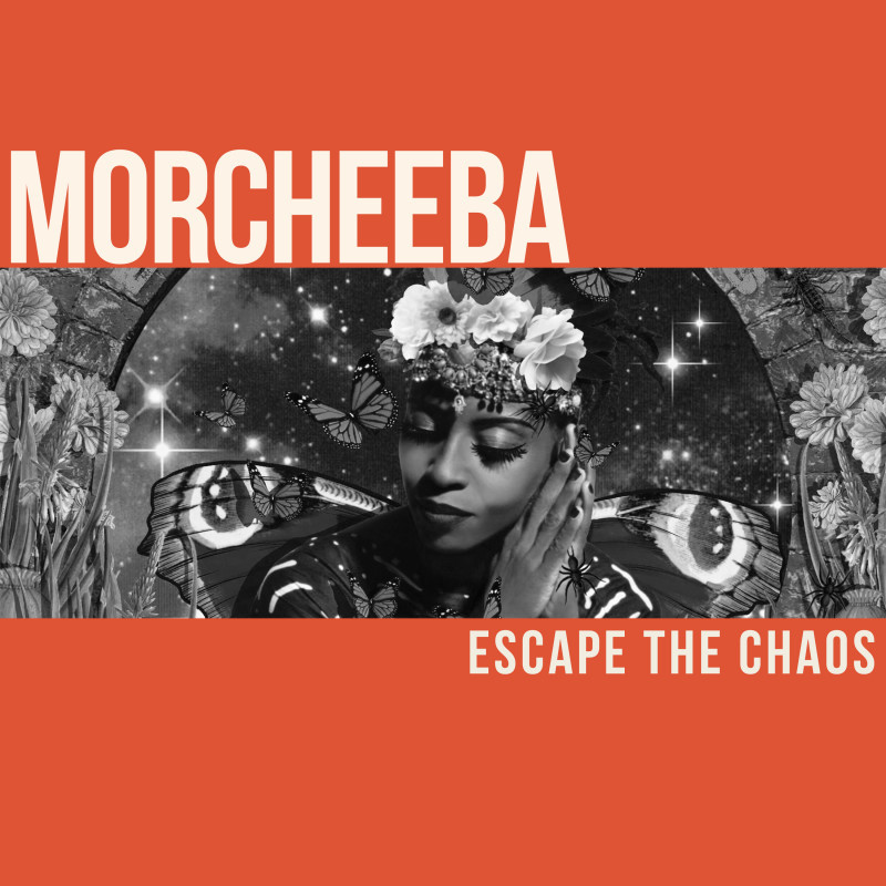 Остров спокойствия и тепла