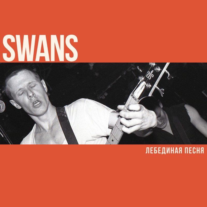 Swans: Лебединая Песня