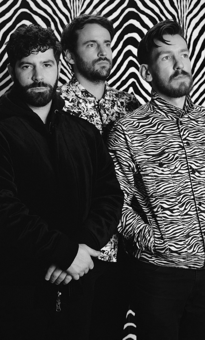 Foals