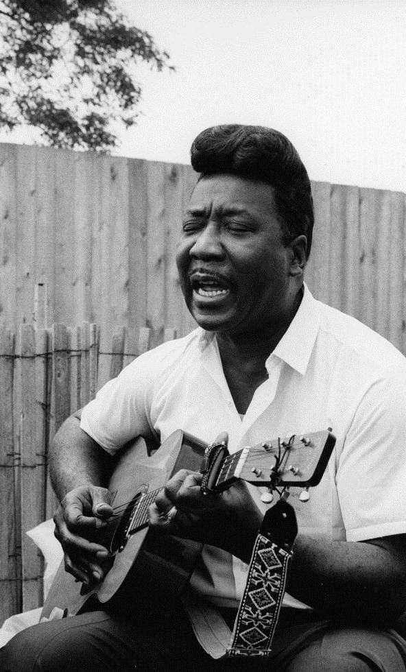 Muddy Waters