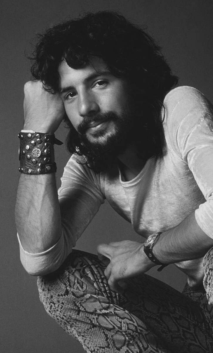 Cat Stevens