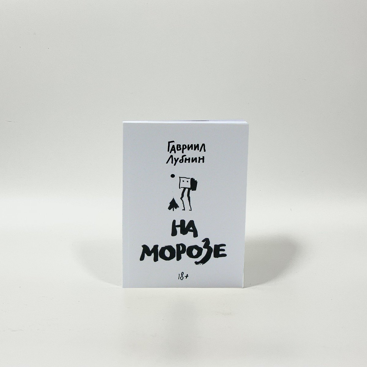 Книга Гавриила Лубнина 'На морозе'