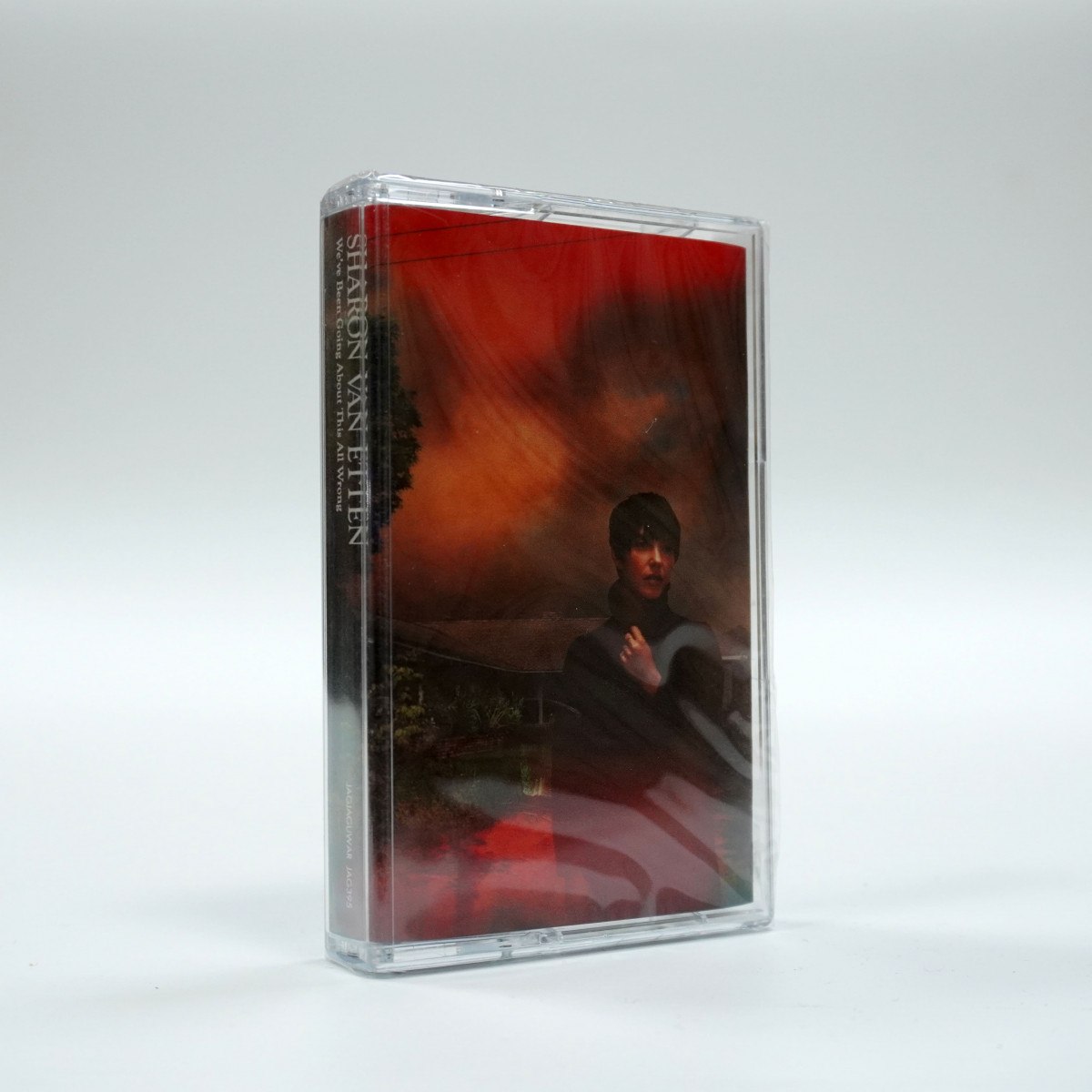 Sharon Van Etten – We've Been Going About This All Wrong