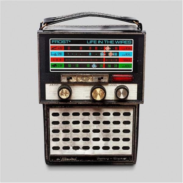 CD Frost — Life In The Wires фото