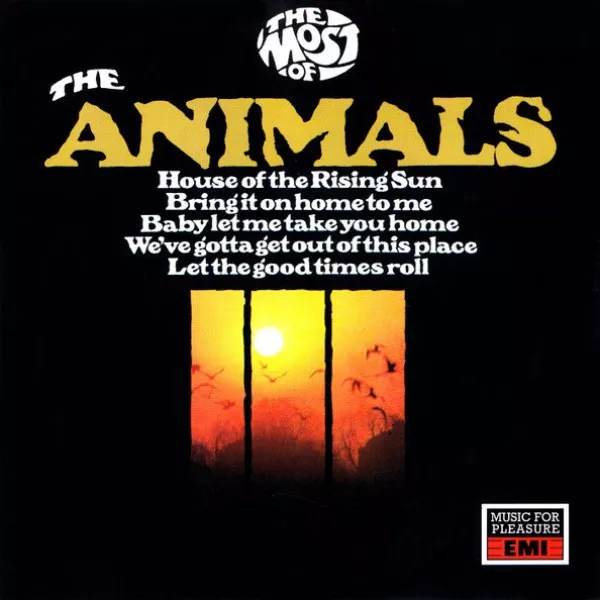 Animals - Most Of The Animals
