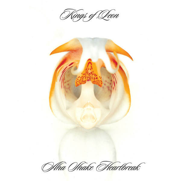 CD Kings Of Leon — Aha Shake Heartbreak фото