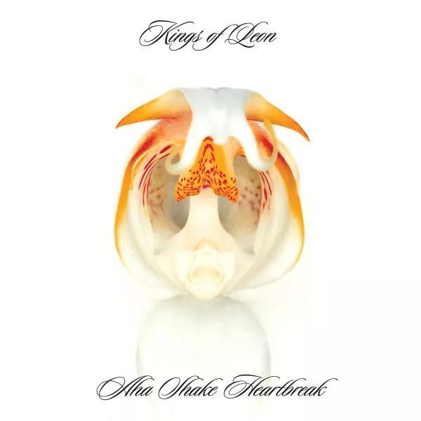 Kings Of Leon - Aha Shake Heartbreak