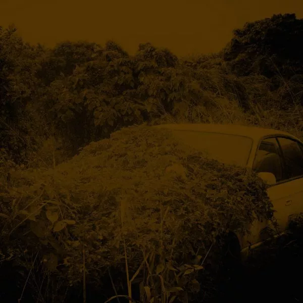 Yannick Dauby - Disaster Area = 3она бедствия