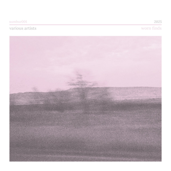 CD V/A — Worn Finds фото