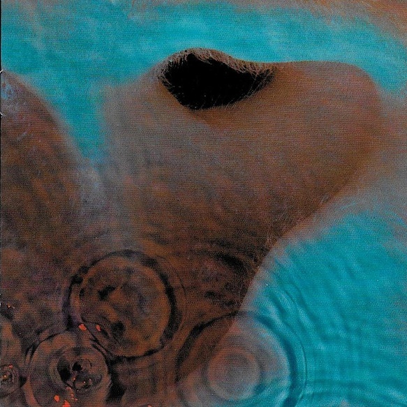 CD Pink Floyd — Meddle фото