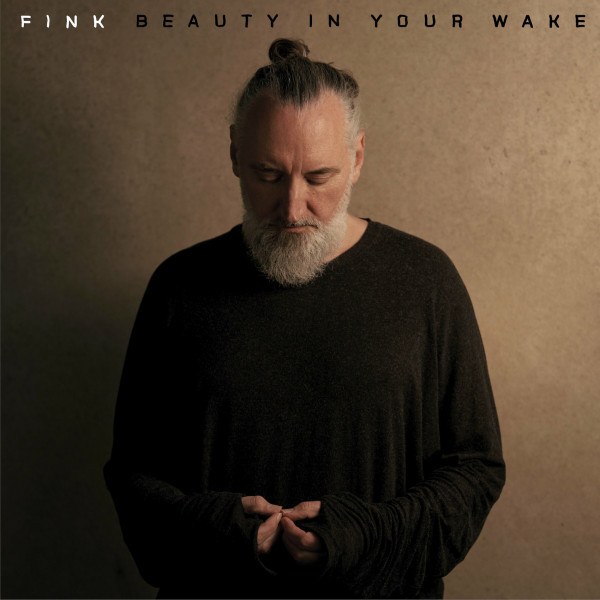 CD Fink — Beauty In Your Wake фото