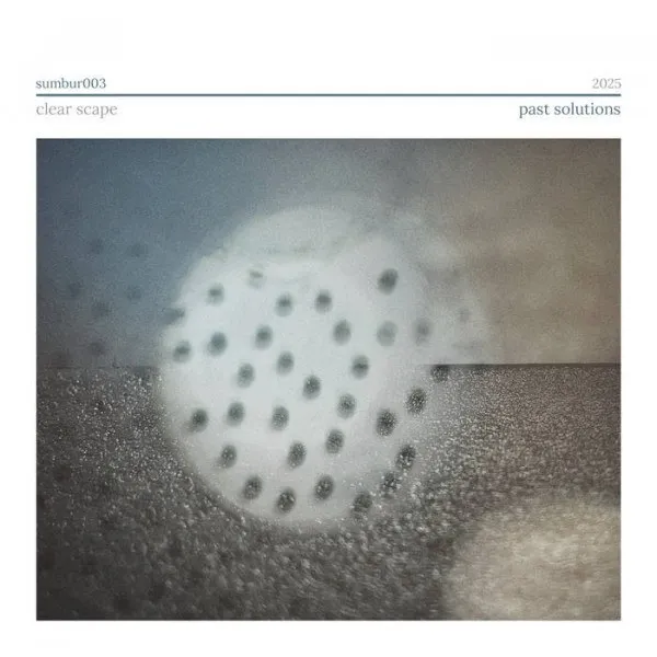 Clear Scape - Past Solutions