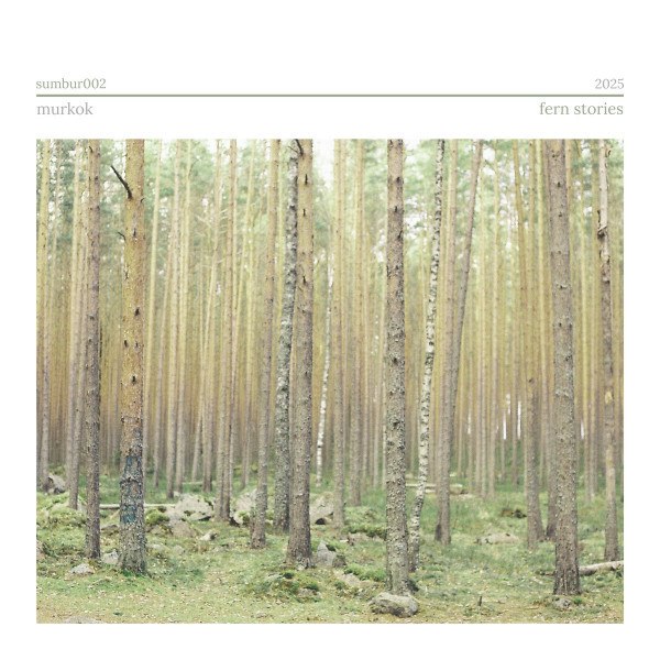 CD Murkok — Fern Stories фото