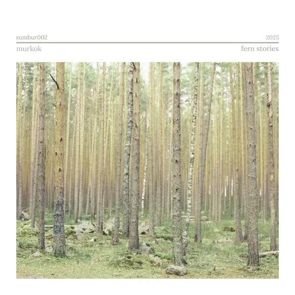 Murkok - Fern Stories