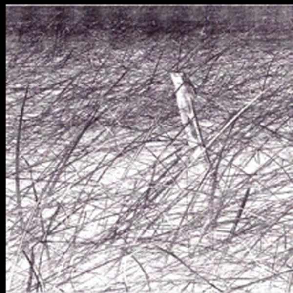 CD Andrea Borghi — Moltiplicazioni фото