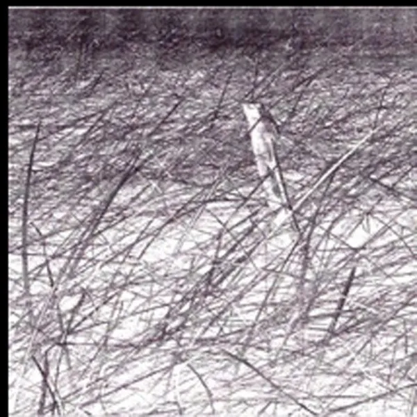 Andrea Borghi - Moltiplicazioni