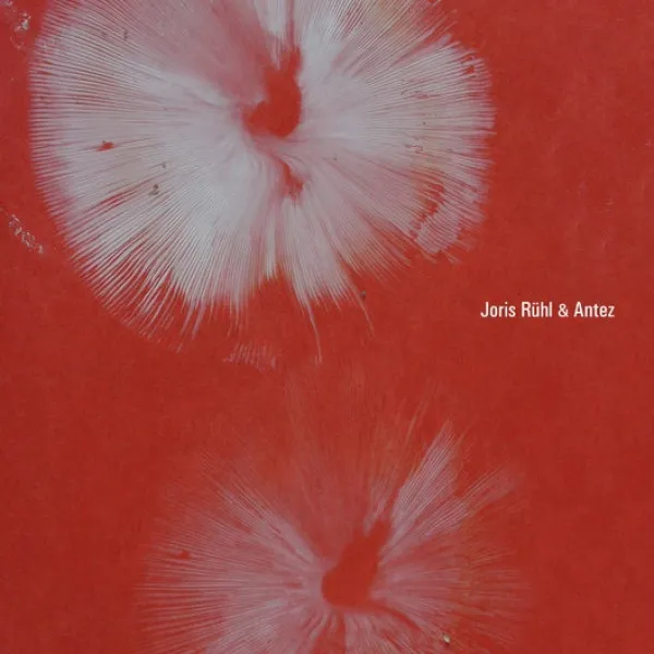 Joris Ruhl - Joris Ruhl & Antez