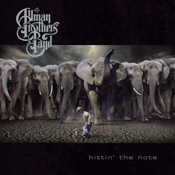 CD Allman Brothers Band — Hittin' The Note фото
