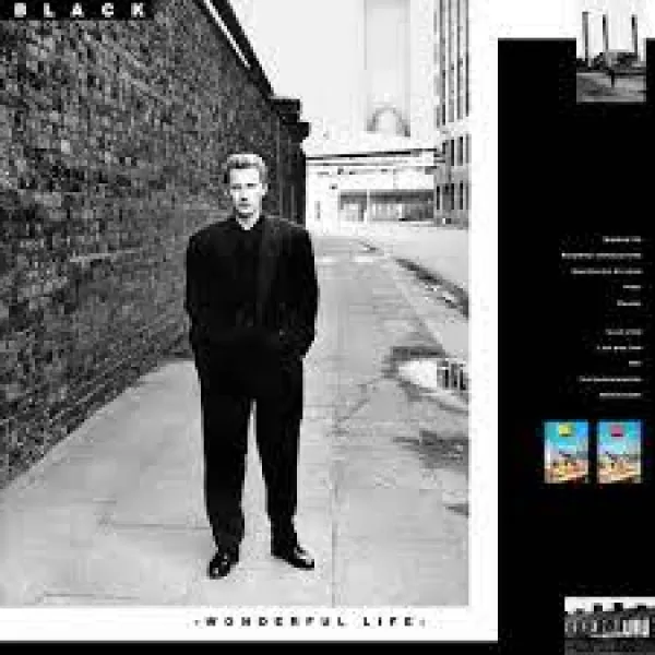 Black - Wonderful Life