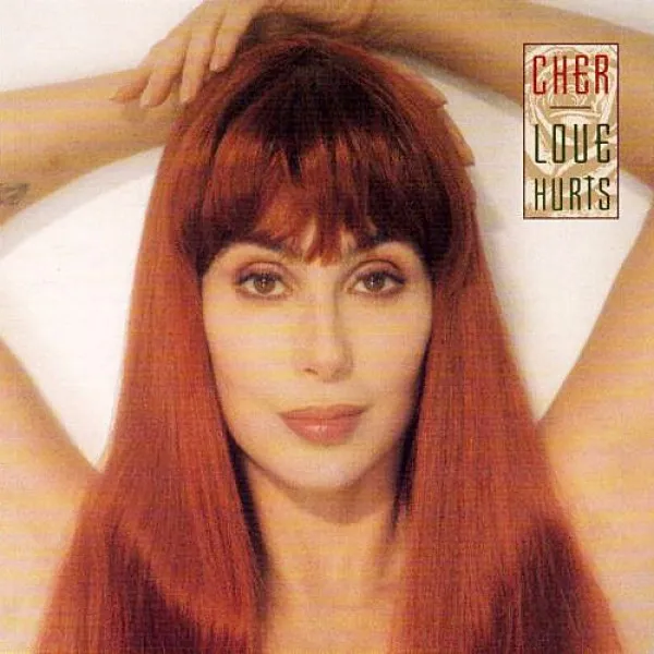 Cher - Love Hurts