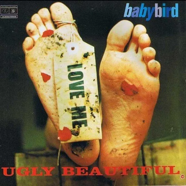 Babybird - Ugly Beautiful