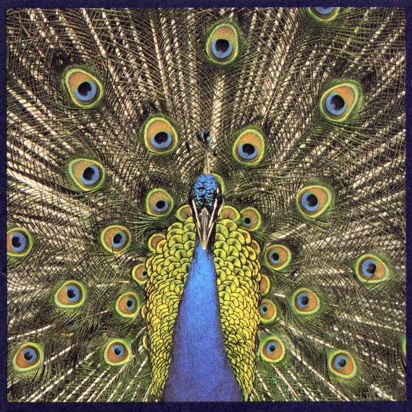 CD Bluetones — Expecting To Fly фото