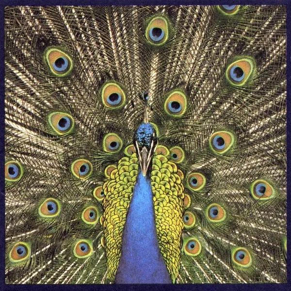 Bluetones - Expecting To Fly