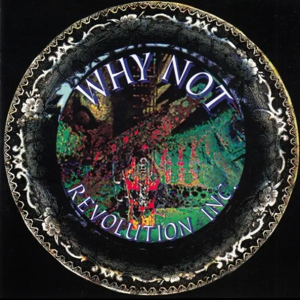 Why Not - Revolution Inc