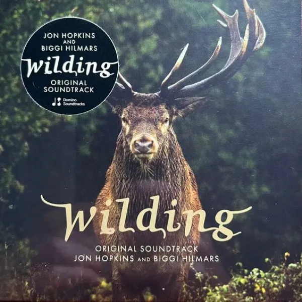 Jon Hopkins - Wilding