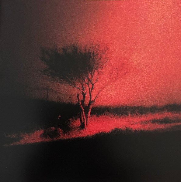 CD Joji — Piss In The Wind фото