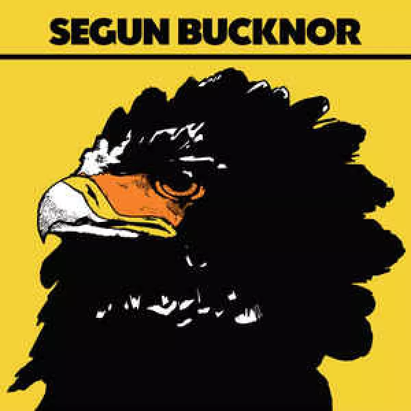 Segun Bucknor - Segun Bucknor