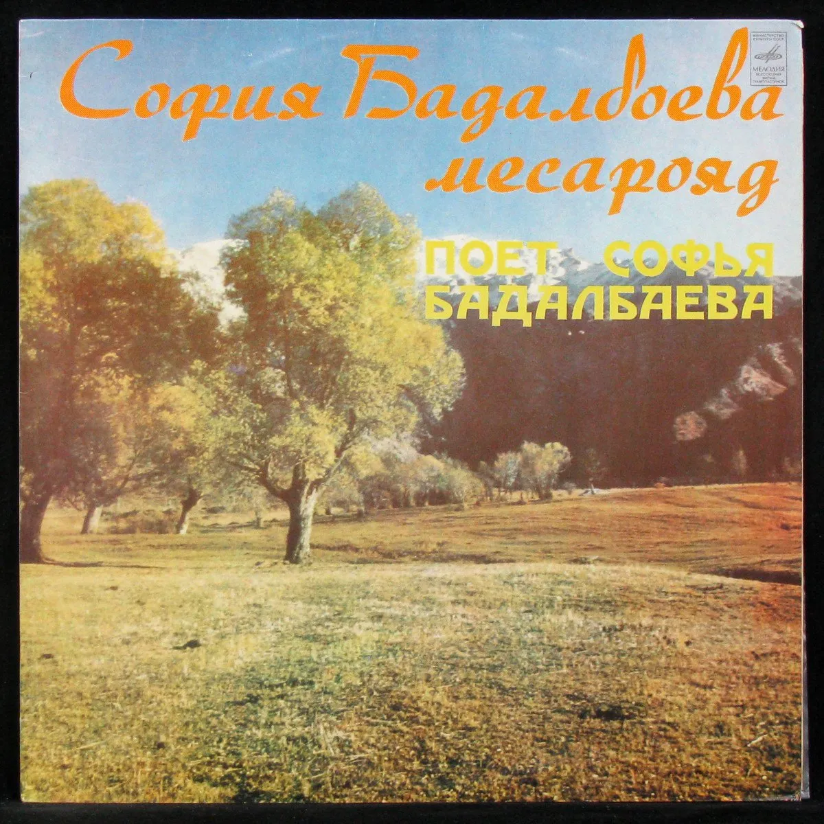 LP София Бадалбаева — София Бадалбаева Месарояд фото