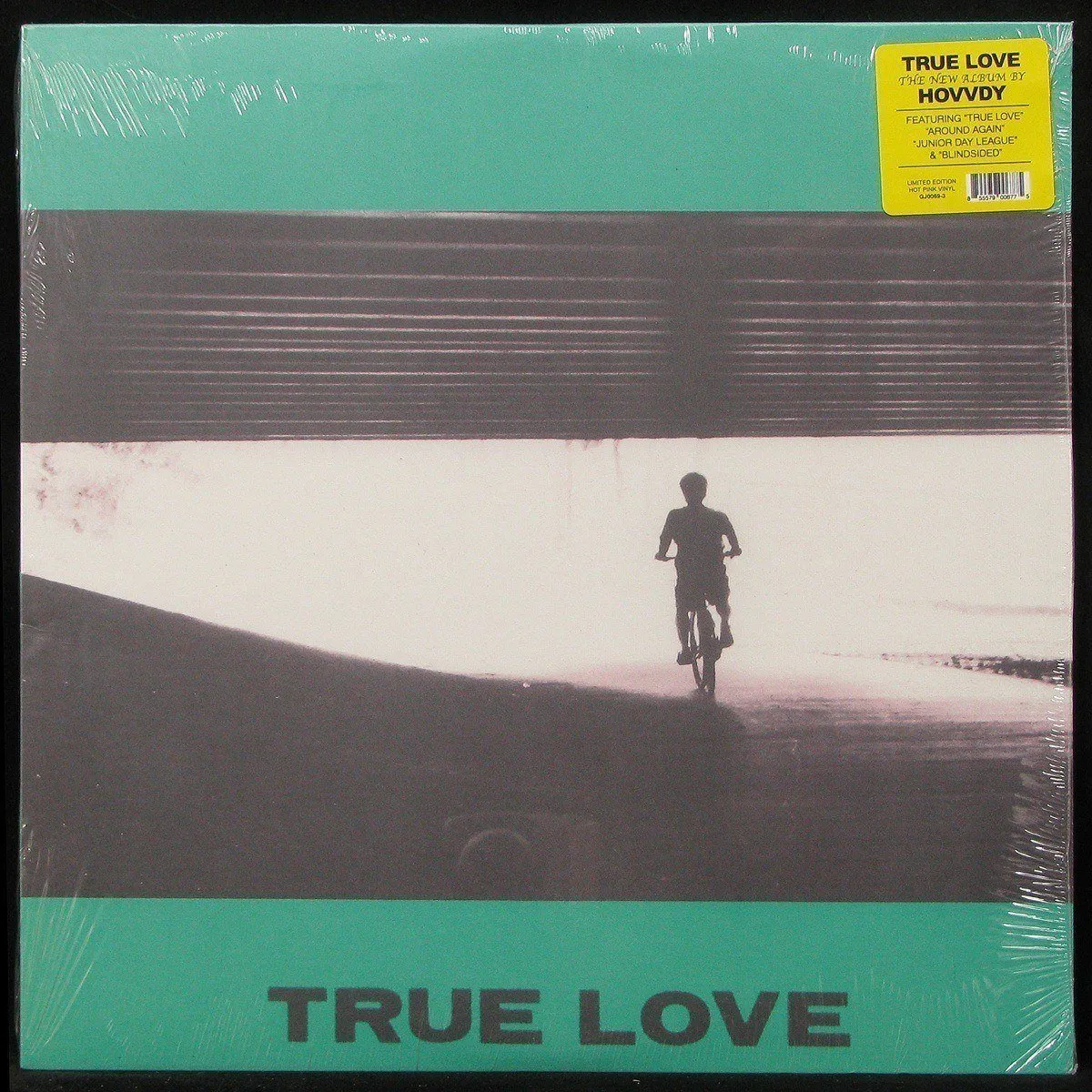 LP Hovvdy — True Love (цветной винил) фото