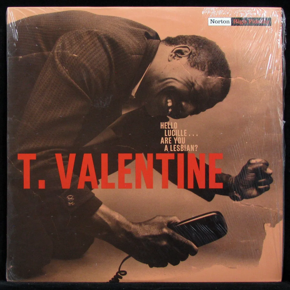 LP T. Valentine — Hello Lucille ... Are You A Lesbian? фото