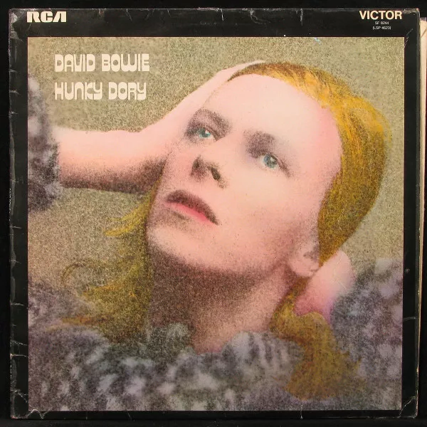 Hunky Dory