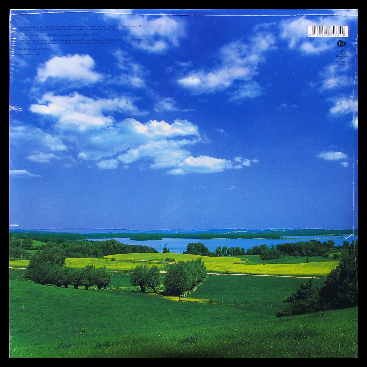 LP David Bowie — Earthling (2LP) фото 2