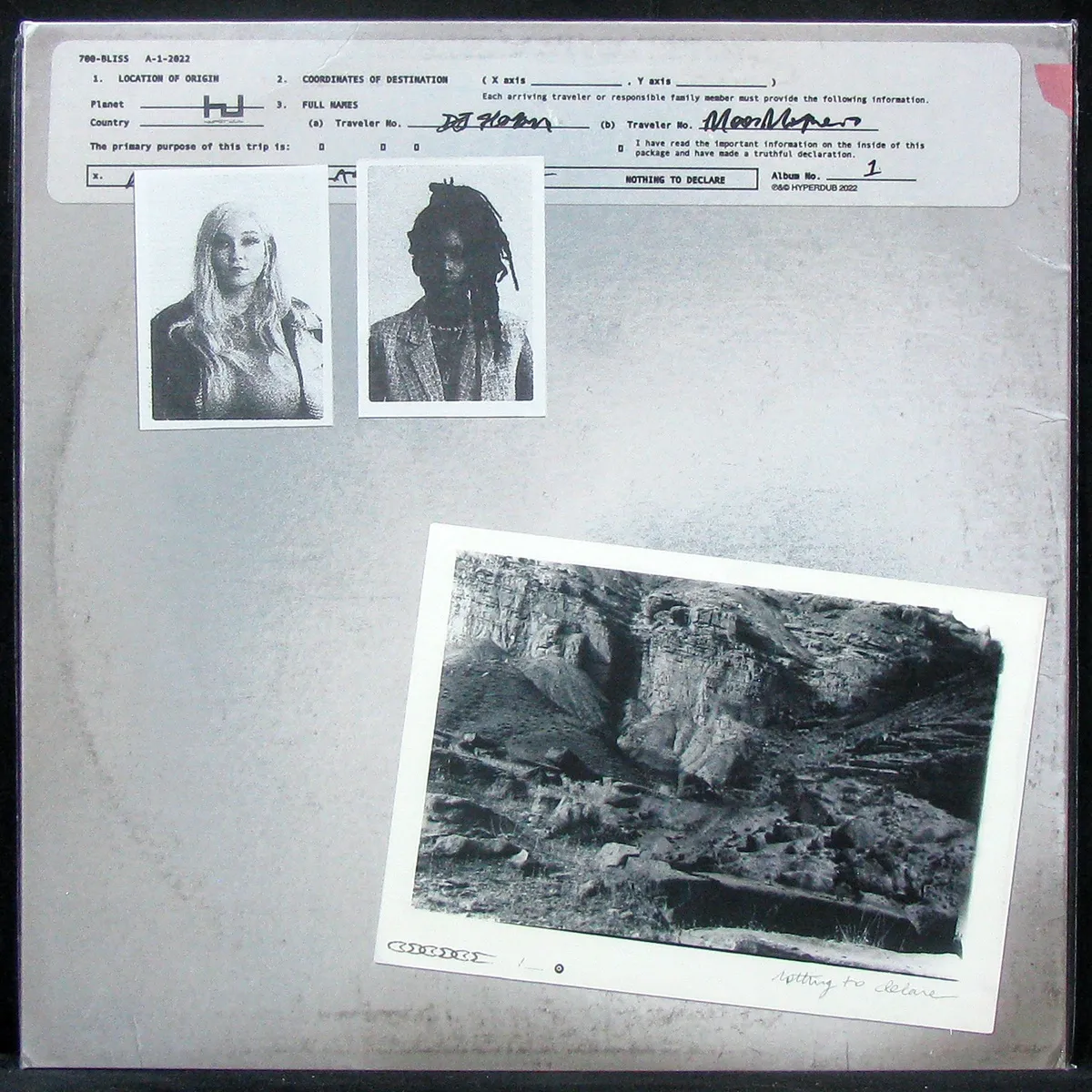 LP 700 Bliss — Nothing To Declare (цветной винил) фото