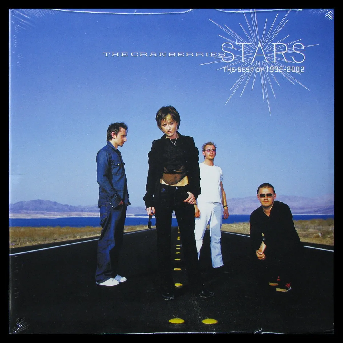 LP Cranberries — Stars: The Best Of 1992-2002 (2LP) фото