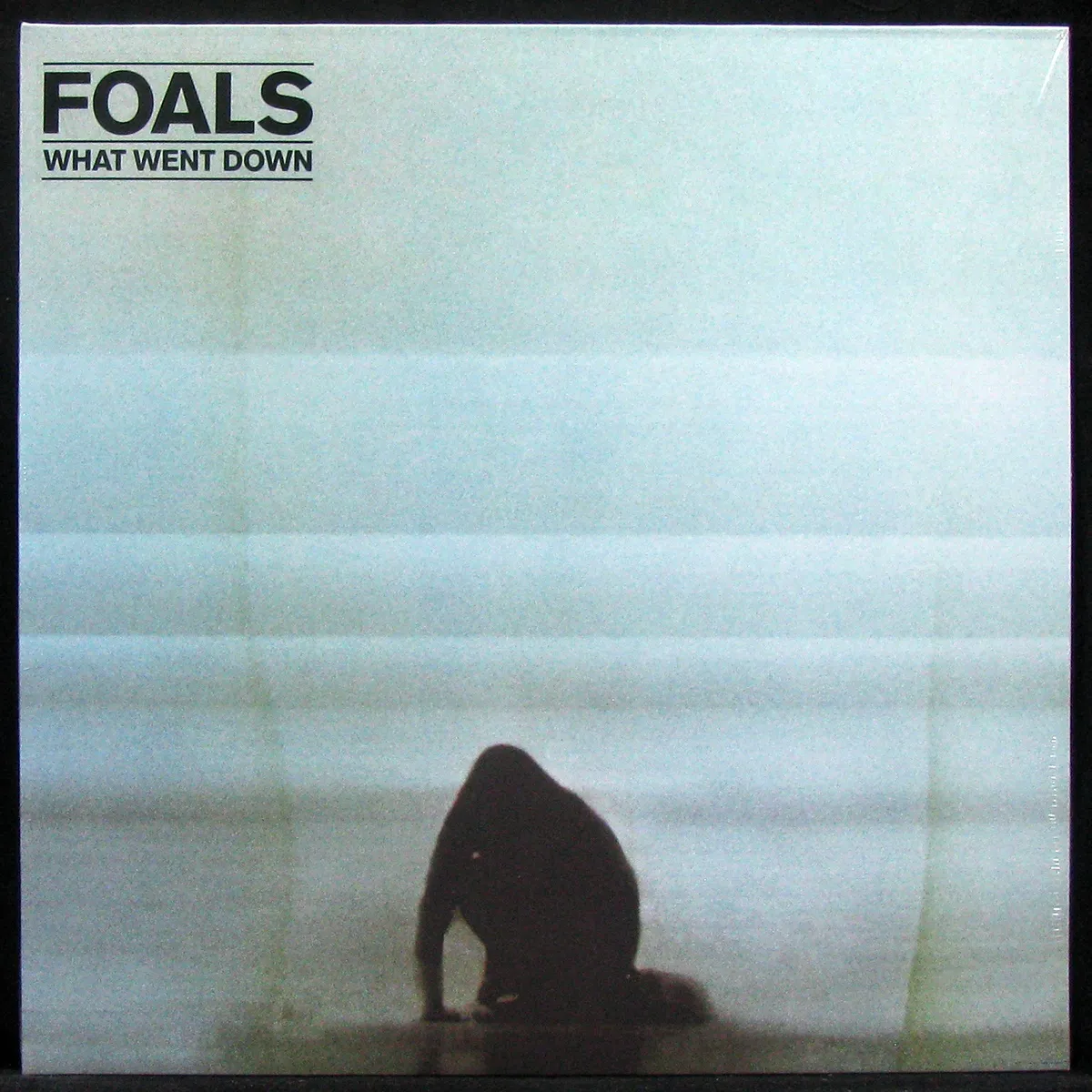LP Foals — What Went Down фото