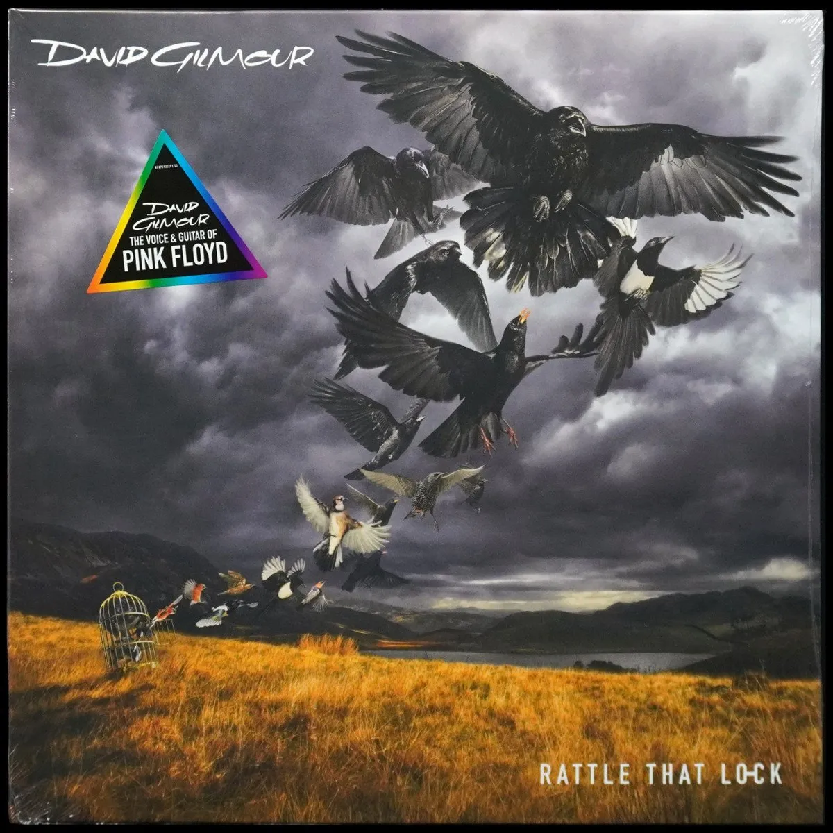 LP David Gilmour — Rattle That Lock (+ буклет) фото