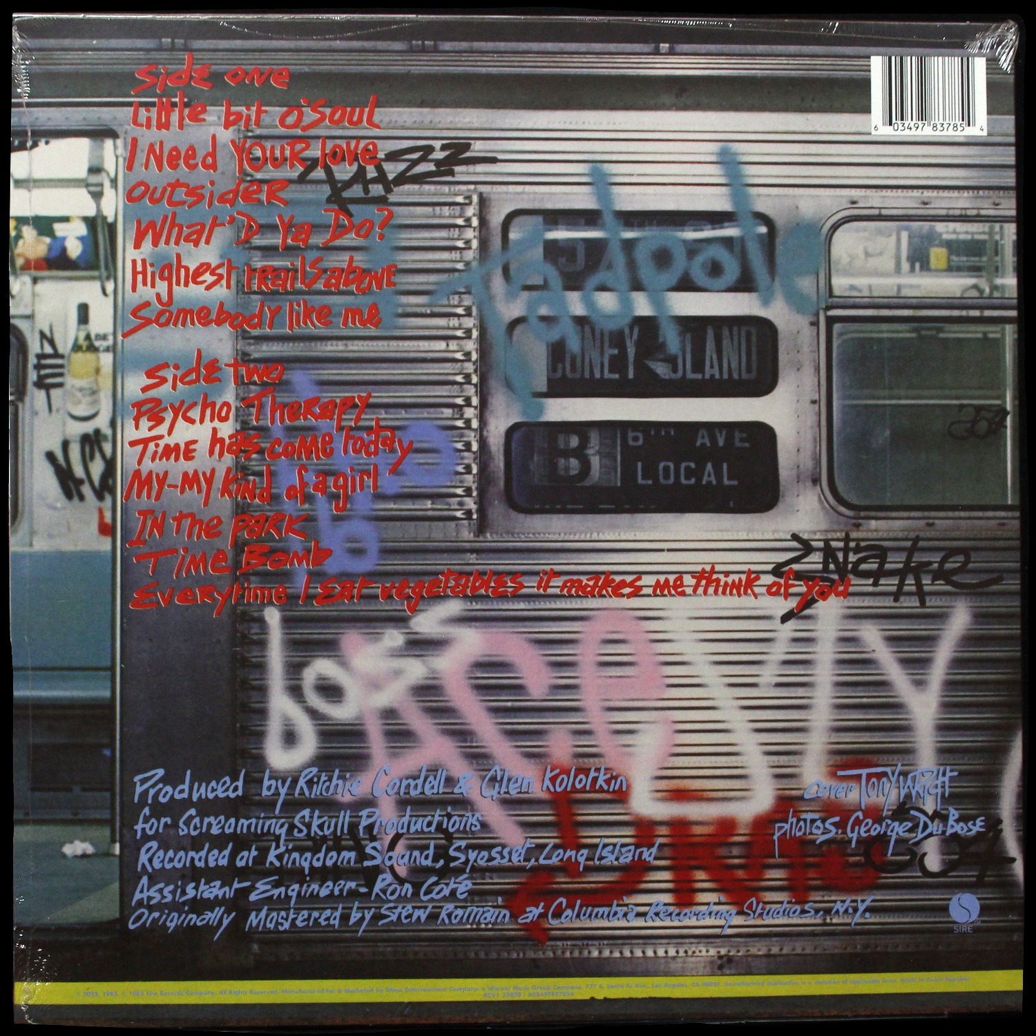 LP Ramones — Subterranean Jungle (цветной винил) фото 2