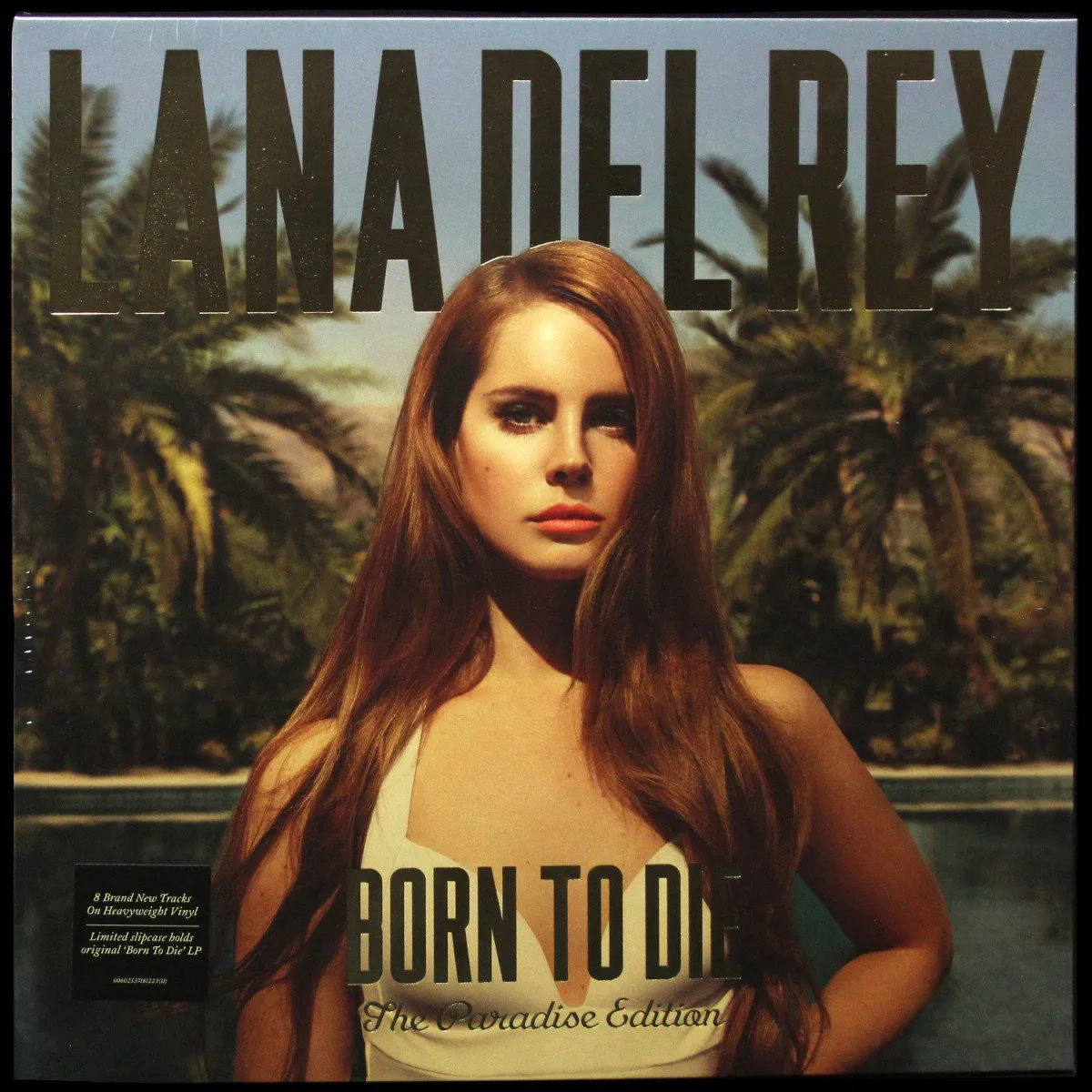 LP Lana Del Rey — Born To Die - The Paradise Edition (2LP) фото