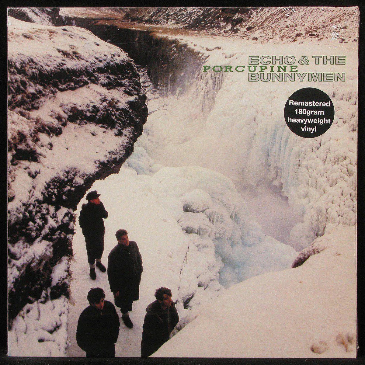 LP Echo & The Bunnymen — Porcupine фото