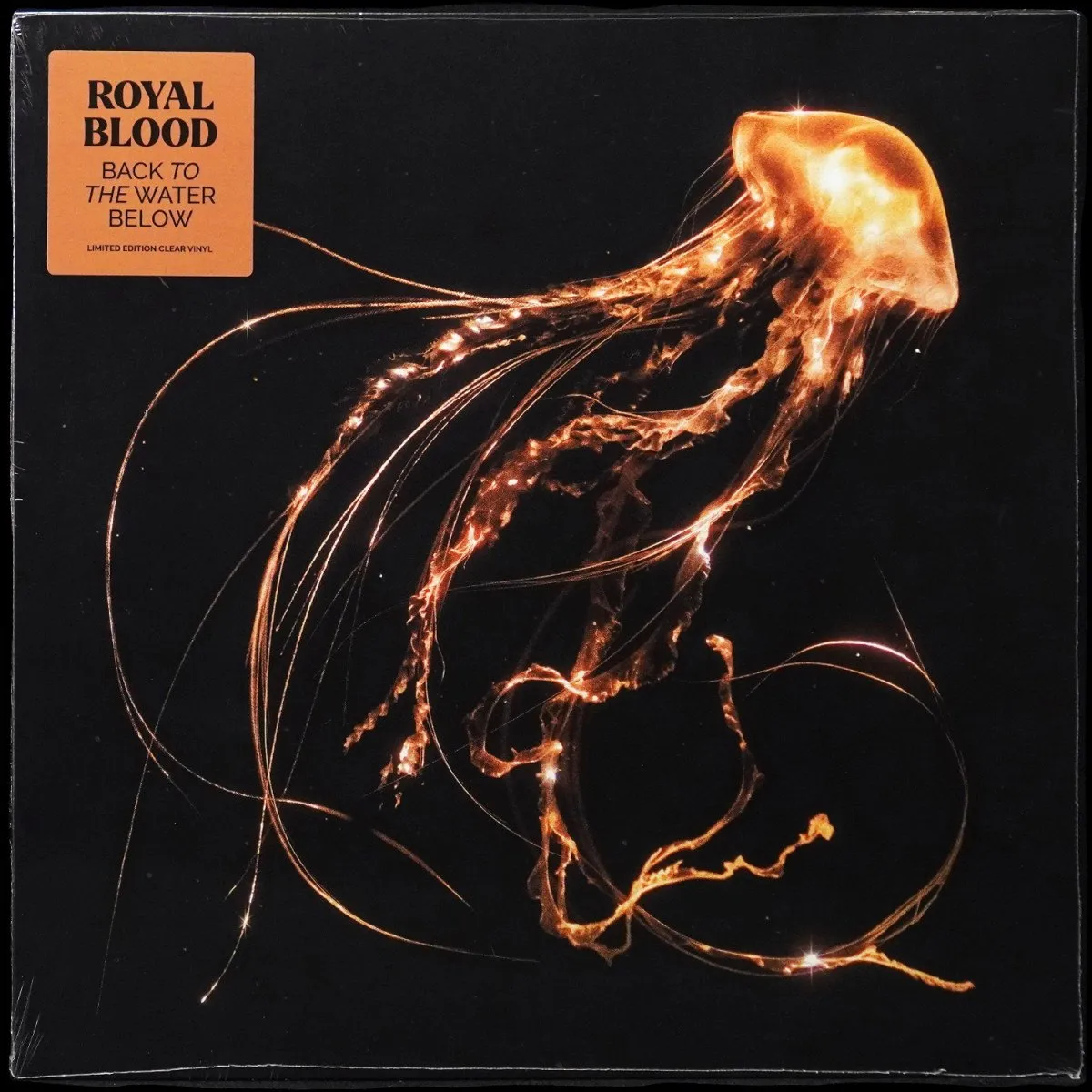 LP Royal Blood — Back To The Water Below (цветной винил) фото