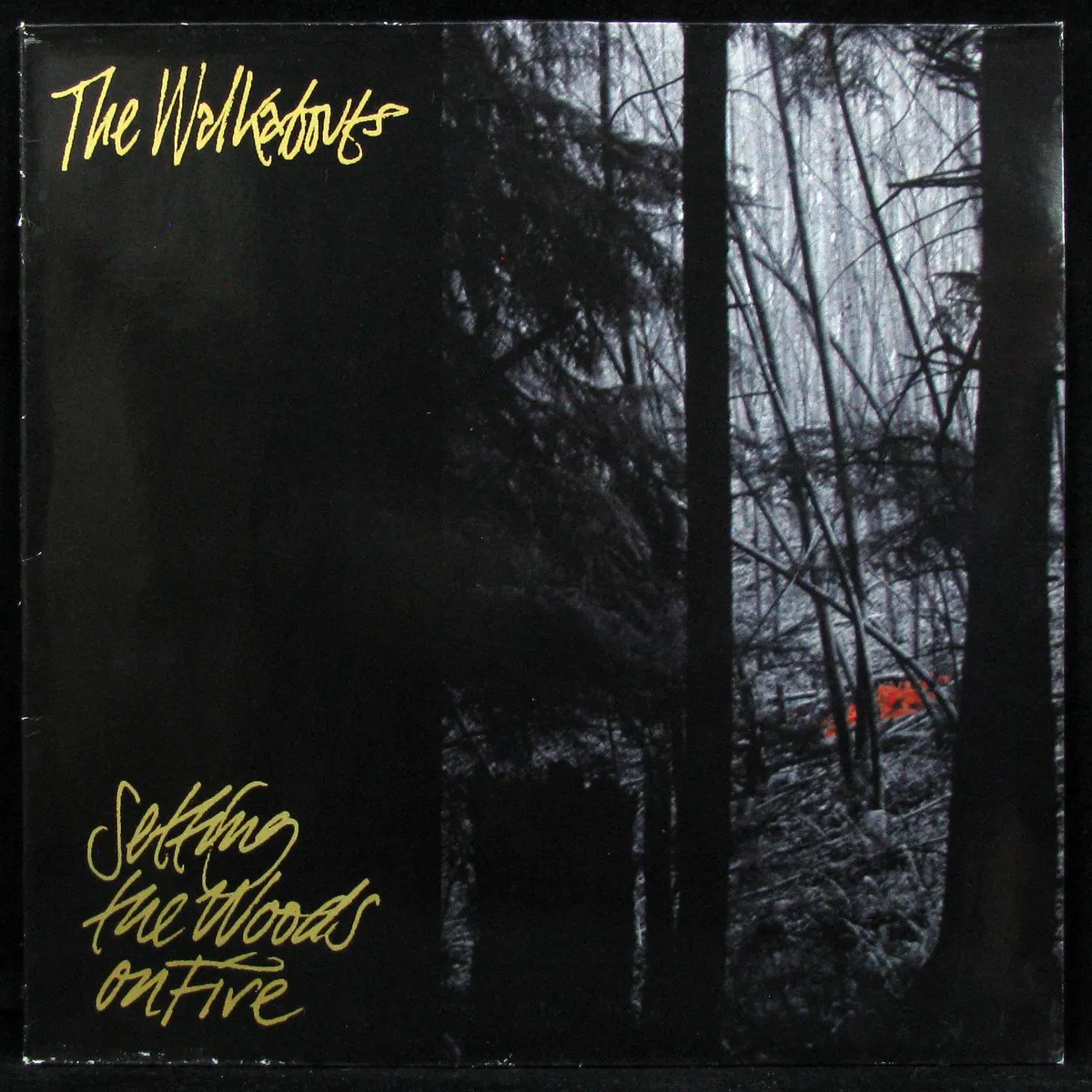 LP Walkabouts — Setting The Woods On Fire (2LP) фото